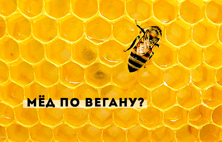 Почему веганы не едят мёд?