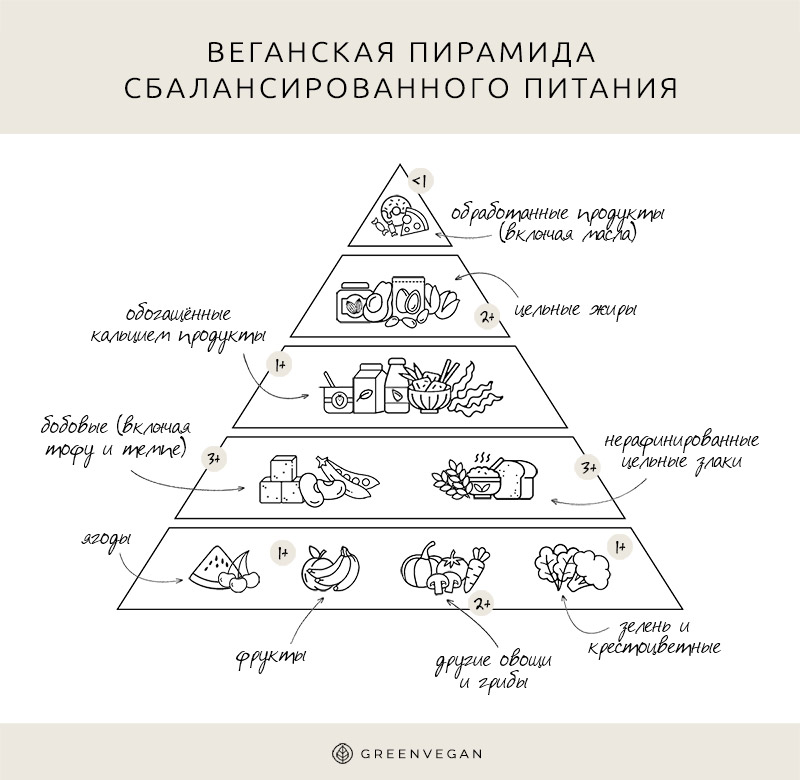 Веганская пирамида питания